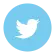 icon_twitter (1)