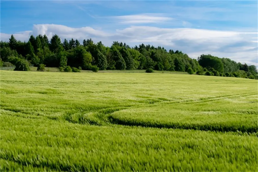 Large Element Water Soluble Fertilizer03atk